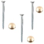 Mirror Screws, Zinc Plated 38mm, Brass Domes (4 Pack)