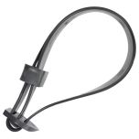 Buckle Type Tree Tie, 600 x 25mm