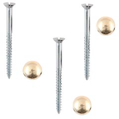 Mirror Screws, Zinc Plated 32mm, Brass Domes (4 Pack)